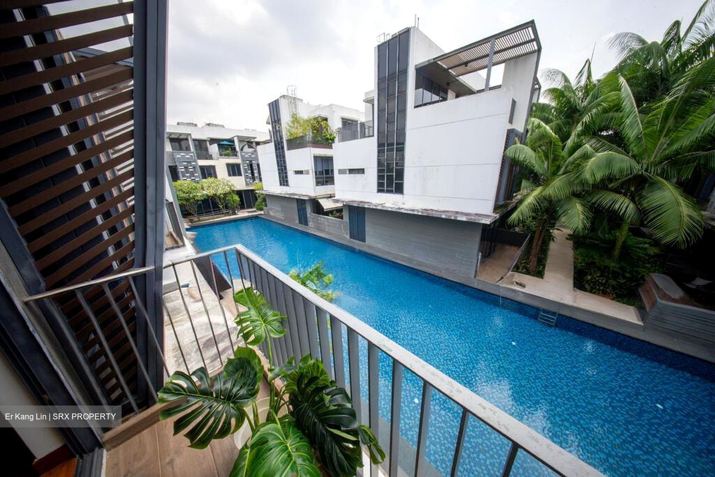 Sunrise Avenue (D28), Terrace #498252581